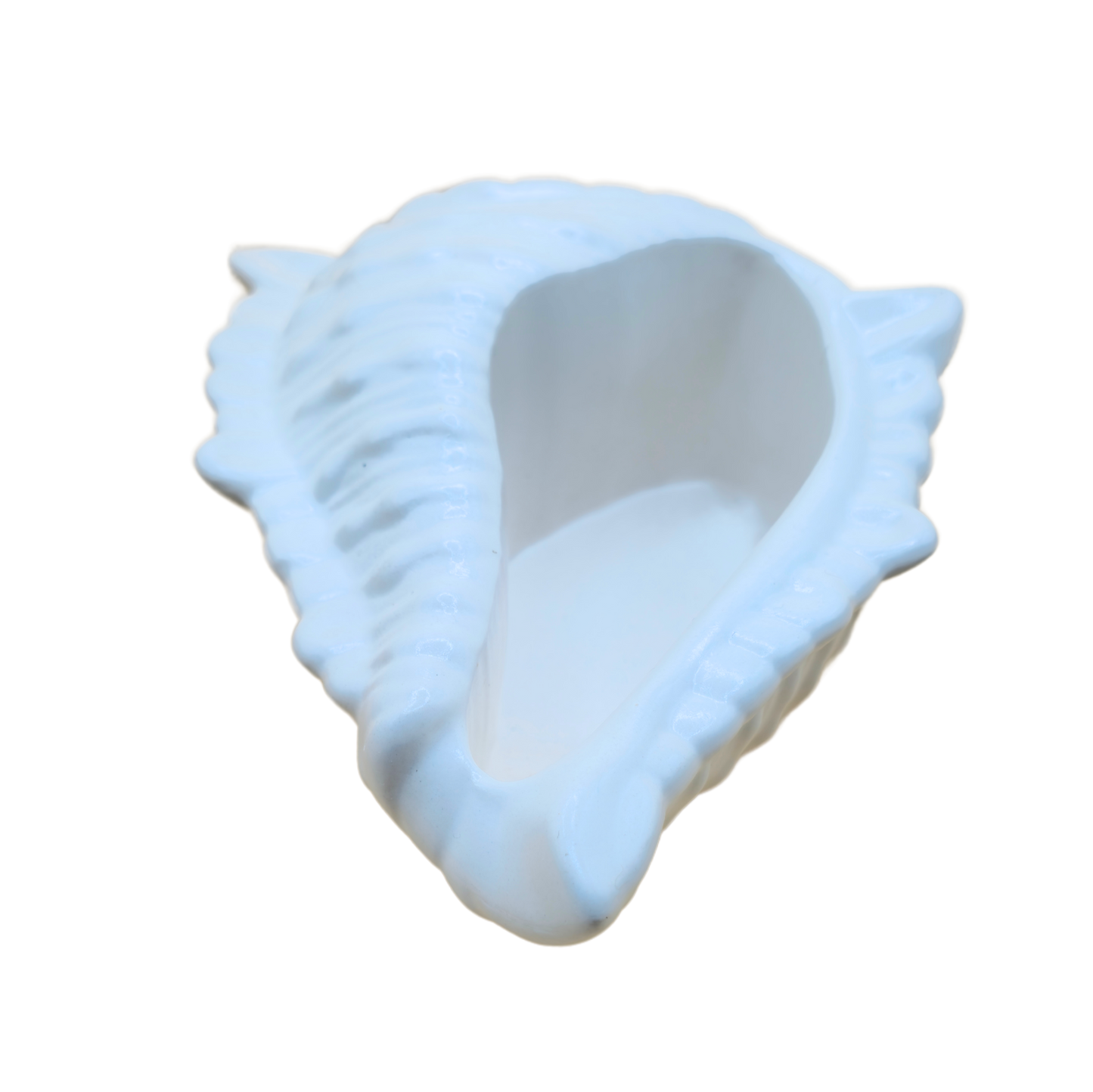 Seashell Tray