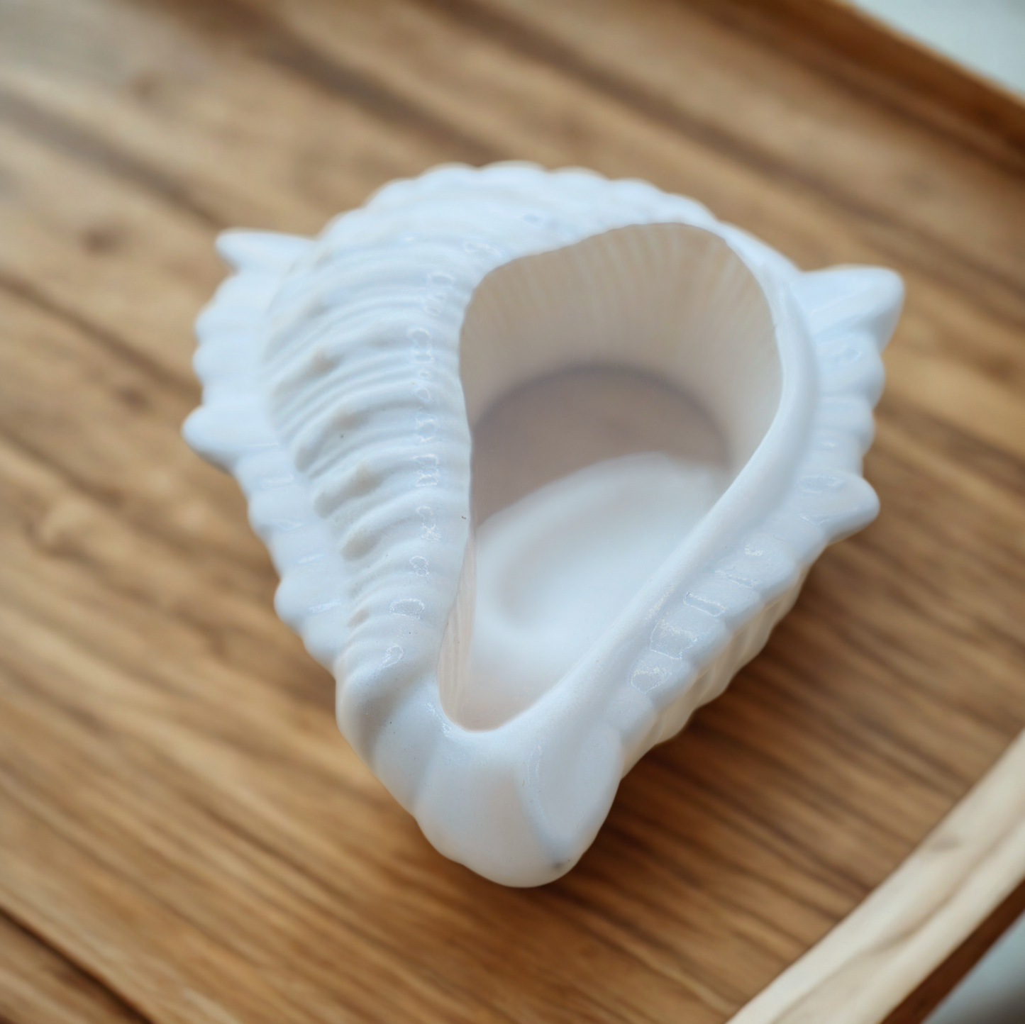 Seashell Tray